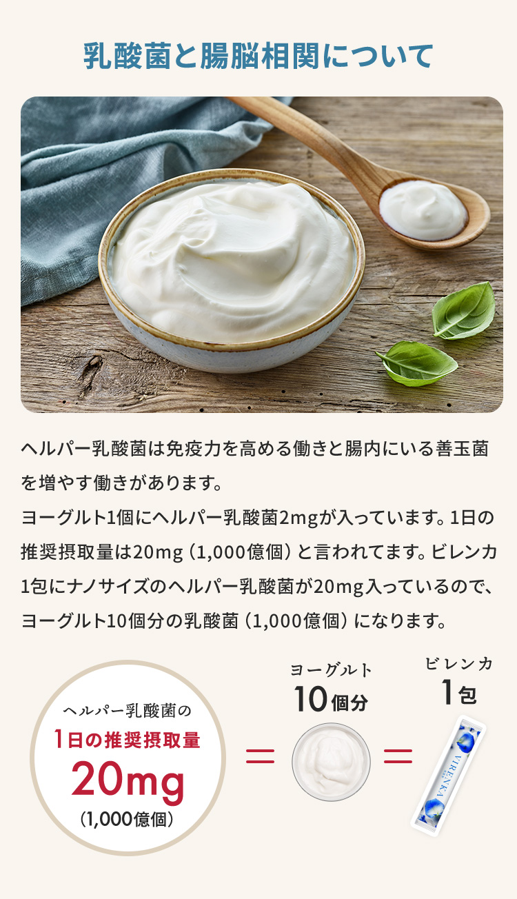 乳酸菌と腸脳相関について | 免疫力を高める働きと腸内にいる善玉菌を増やす働きヘルパー乳酸菌