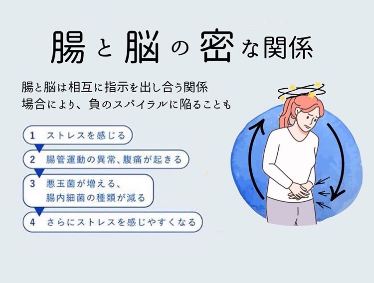 腸と脳の密な関係