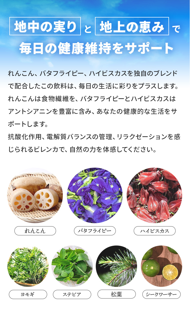 れんこん（蓮根）、バタフライピー、ハイビスカスを独自のブレンドで配合したこの飲料は、毎日の生活に彩りをプラスします。