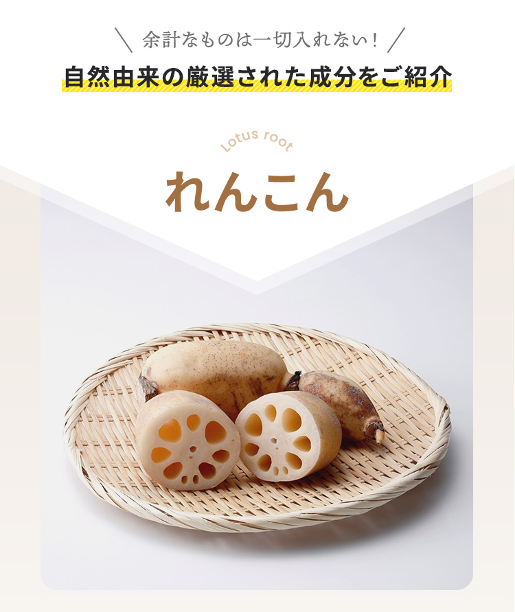 れんこん（蓮根）