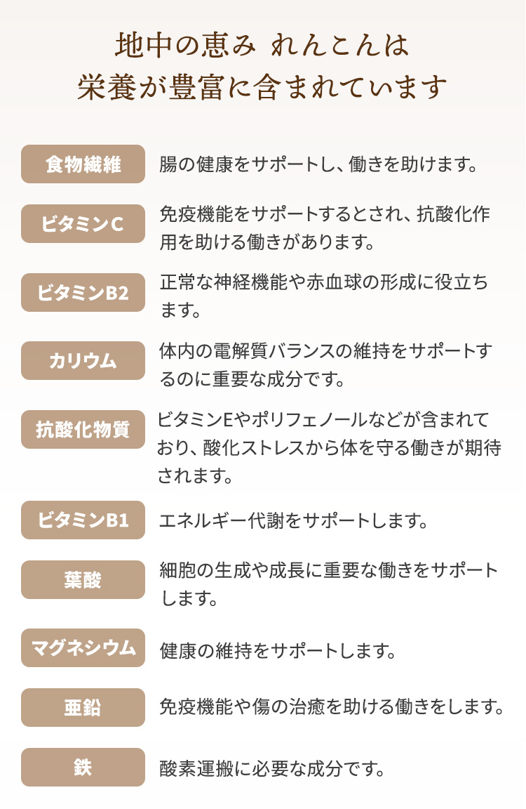 れんこん（蓮根）に含まれる主要栄養素 | 食物繊維・ビタミンC・ビタミンB2・カリウム・抗酸化物質・ビタミンB1・葉酸・マグネシウム、亜鉛、鉄