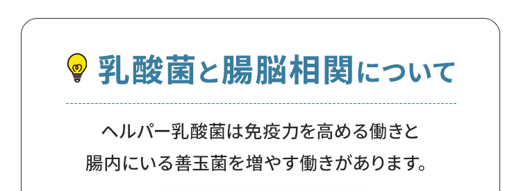 乳酸菌と腸脳相関について | 免疫力を高める働きと腸内にいる善玉菌を増やす働きヘルパー乳酸菌